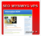 Search Engine Optimisation What You See Is What You Get Virtual Public Server